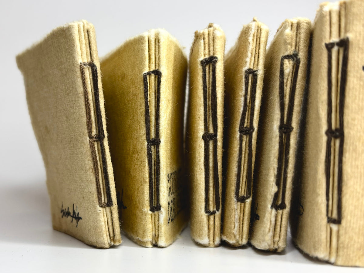 Handsewn Parchment journals