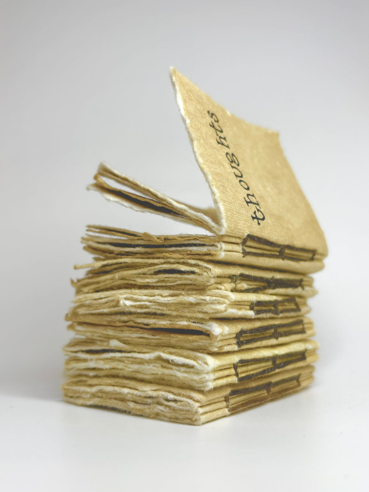 Handsewn Parchment journals