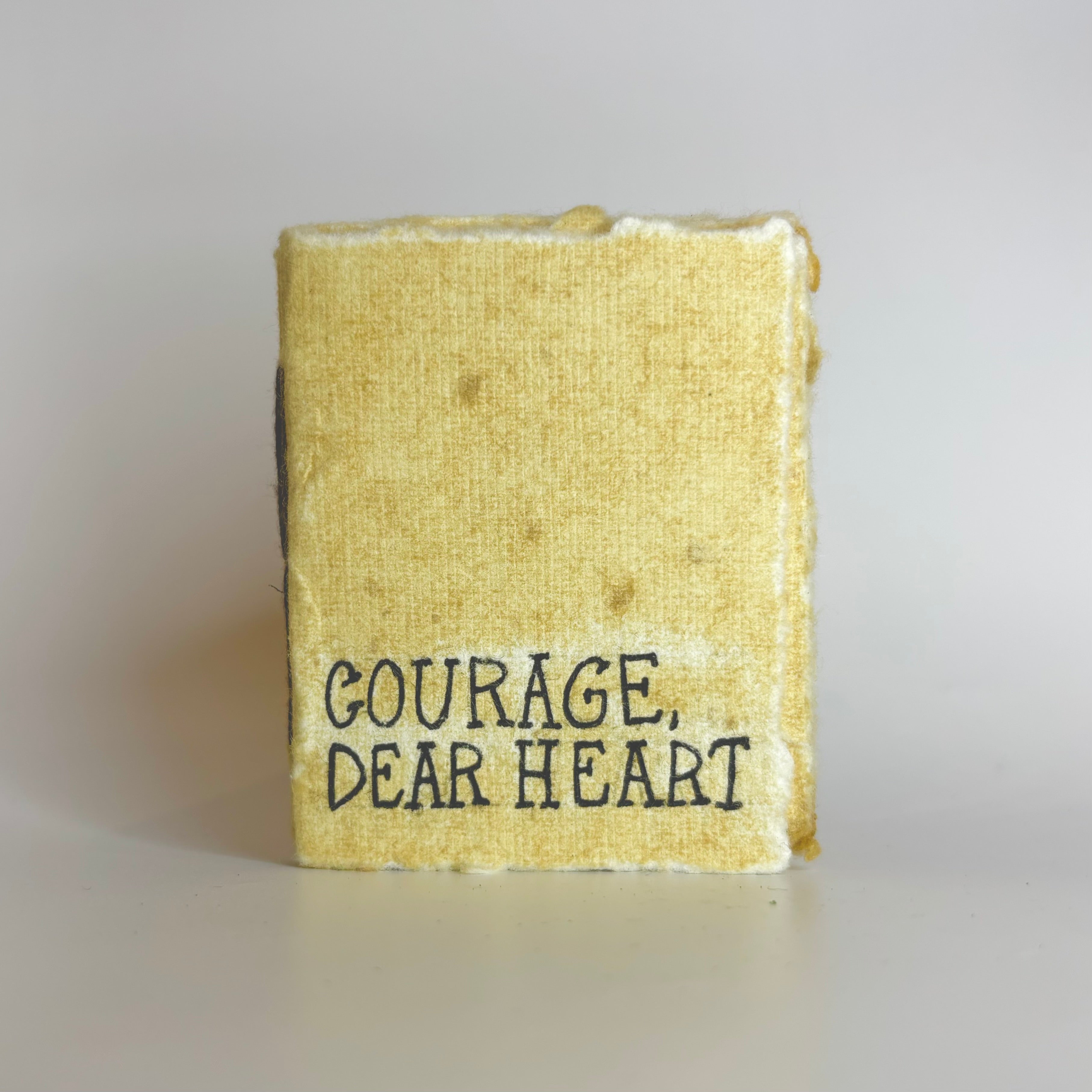 Dear Heart Journal, Tiny